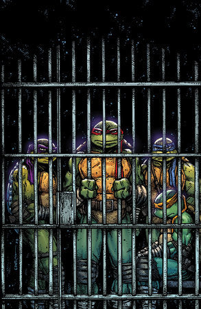 Teenage Mutant Ninja Turtles #11 Variant RI (10) (Eastman Full Art)[1:10]