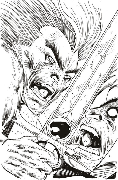 ThunderCats #2 Cover ZD Incentive Rob Liefeld Black & White Virgin Variant