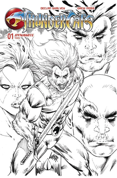 ThunderCats #1 Cover ZG 1:10 Rob Liefeld Black & White Variant
